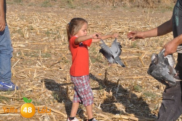 7amam lud monir 908 (15).JPG